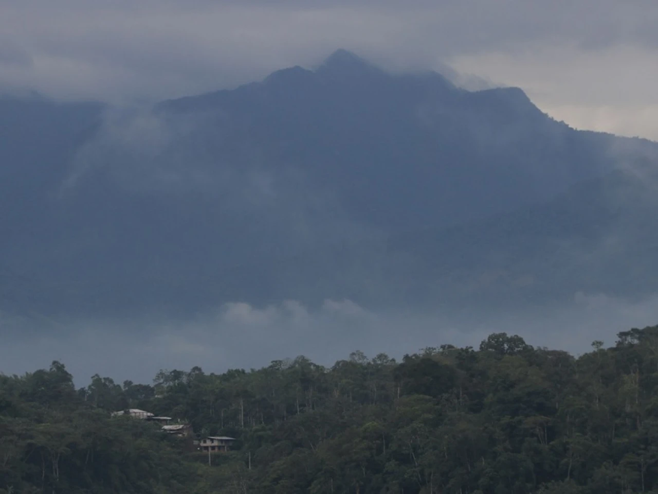 Ecuador vive un dilema por el mercado de carbono 