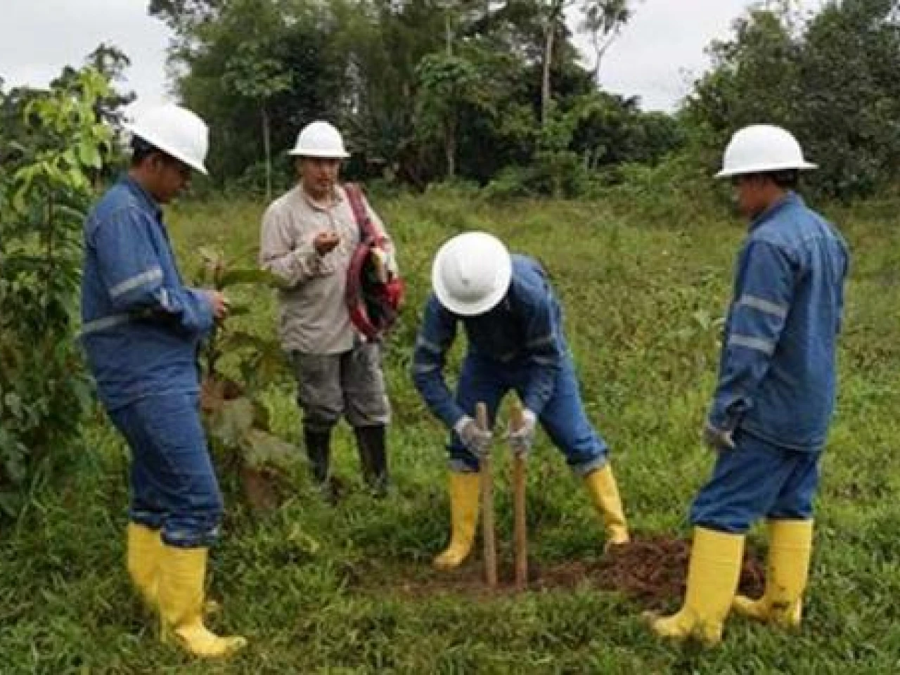 Firma minera con Venezuela se liquidará 