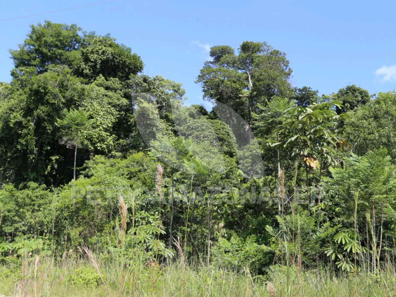 Petroamazonas avanza con la remediación ambiental