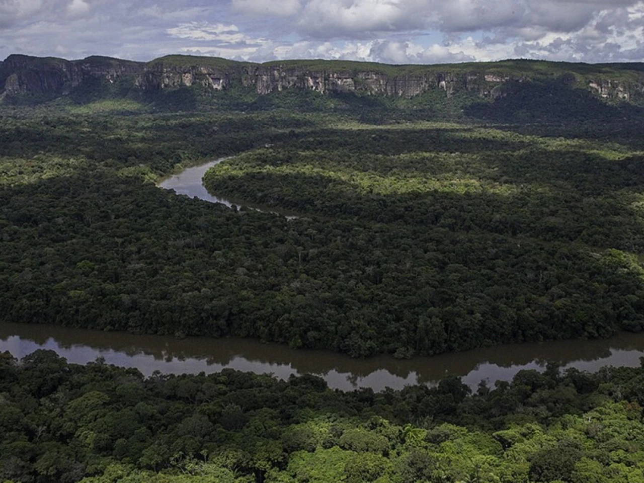 Colombia: Aumenta la deforestación en Parques Nacionales mientras nuevo gobierno anuncia revisión de la política ambiental
