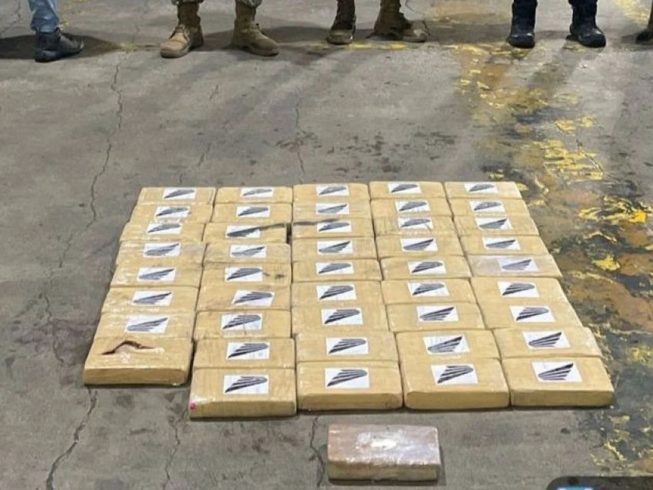 45 bloques de cocaína en contenedor que iba a Bélgica fueron incautados