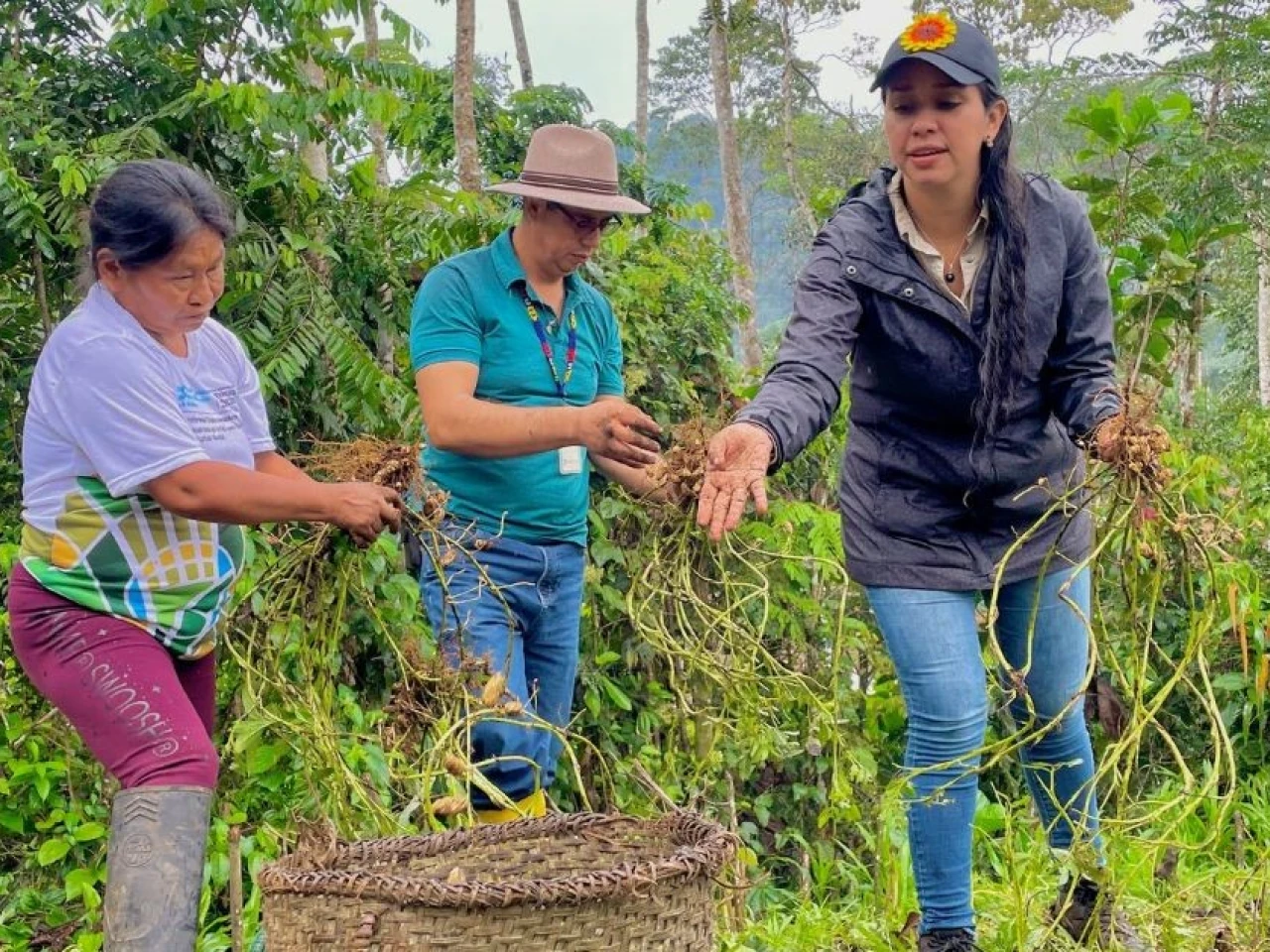 La agricultura sostenible es fortalecida en Tena 