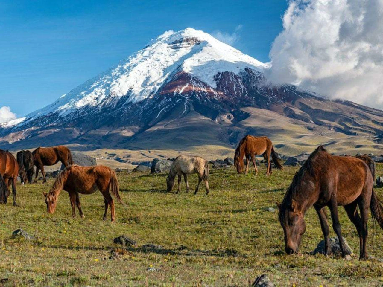 Turismo en Ecuador: los volcanes se consolidan como destinos para vivir experiencias más allá del paisaje 
