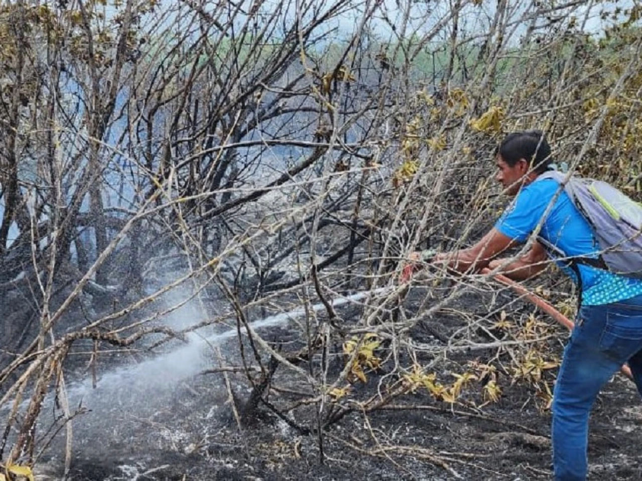 Un incendio afectó a media hectárea de bosque de manglar en Galápagos