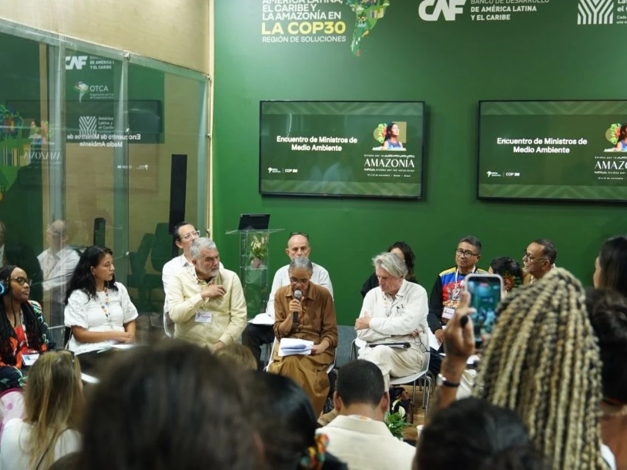 La OTCA lanzó proyecto para unificar métodos de monitoreo de tala en la Amazonía
