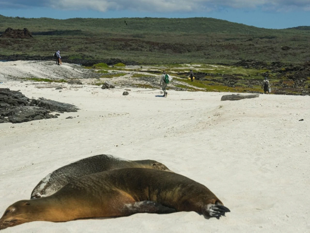 Ecuador acomete con Galápagos la mayor conversión de deuda por naturaleza de la historia