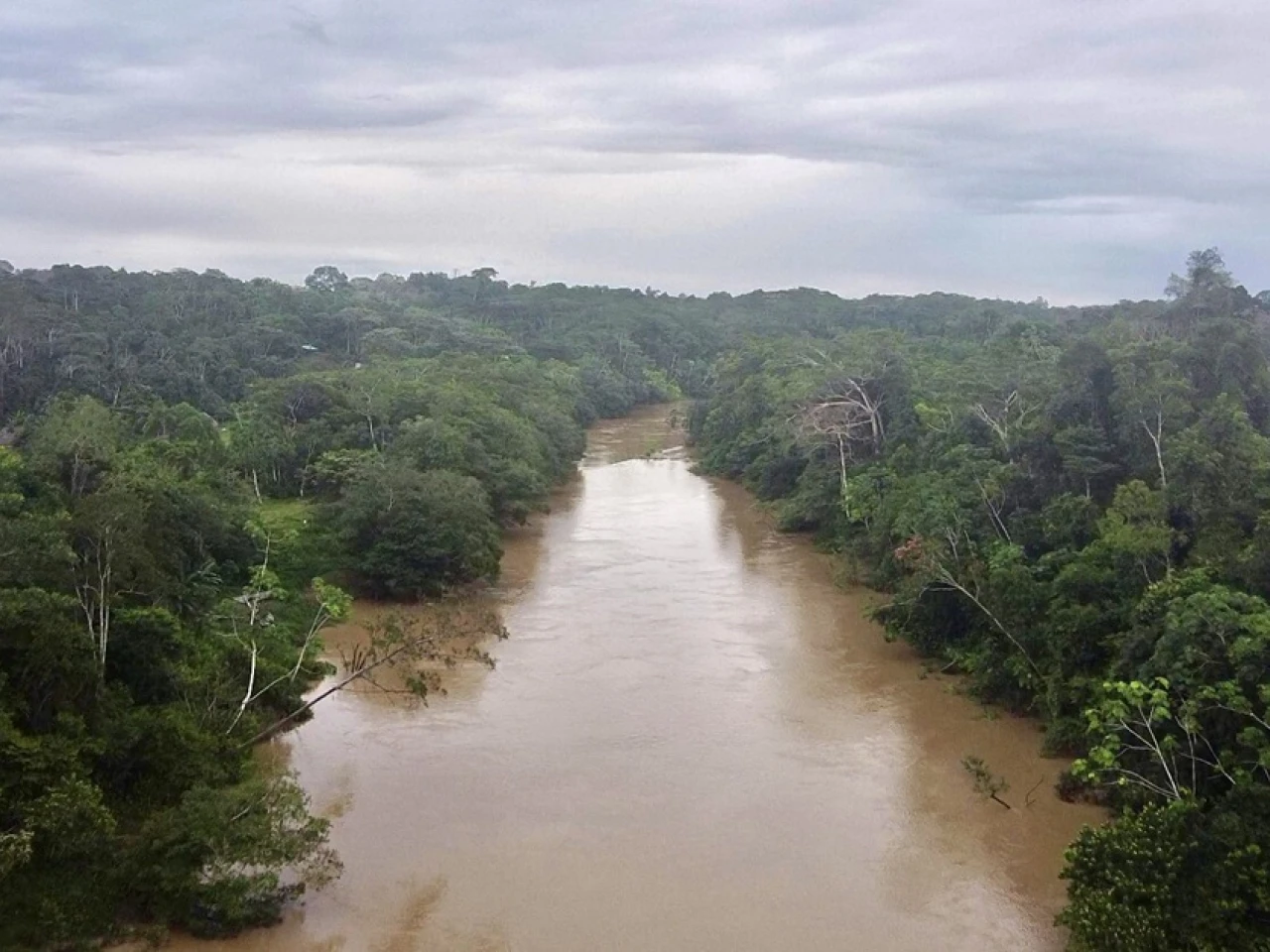 Nuevo canje de deuda generará $ 460 millones para conservar la Amazonía