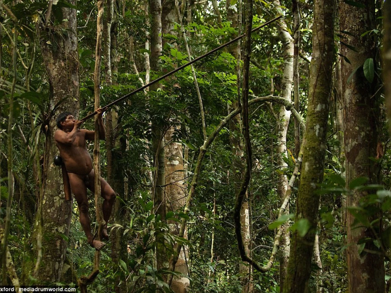 The Amazon tribe that kills and eats monkeys