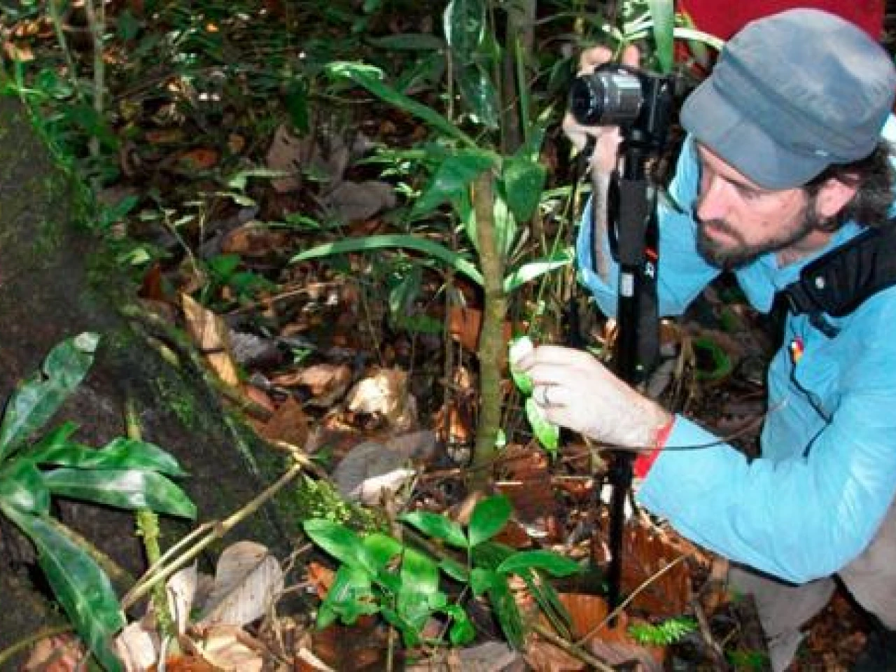 Payamino difunde sus saberes ancestrales