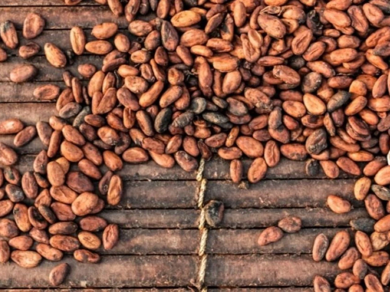 El cacao se cotiza en $ 8.476 por tonelada métrica 