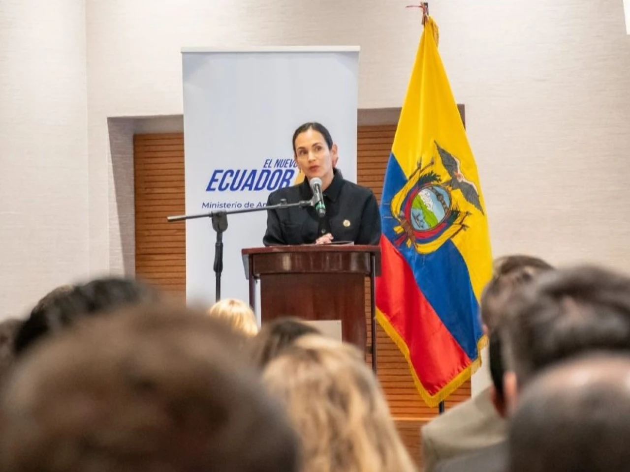 Gobierno inicia proceso para adjudicar planta eléctrica de 400 MW a gas natural en el litoral