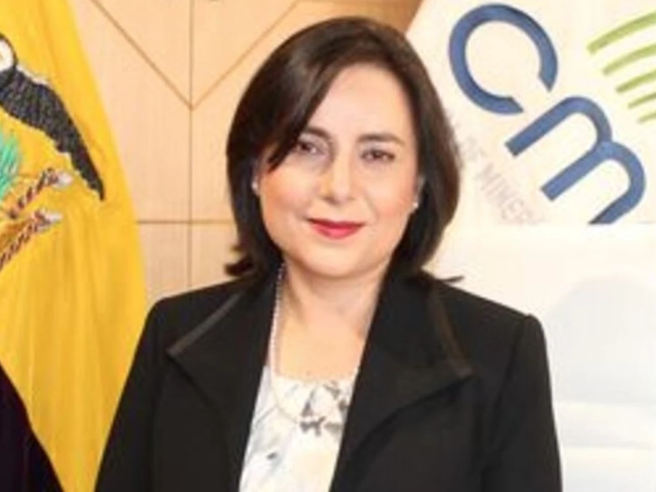 “Es necesario que el Estado vaya a un sinceramiento de todas las tarifas eléctricas” 