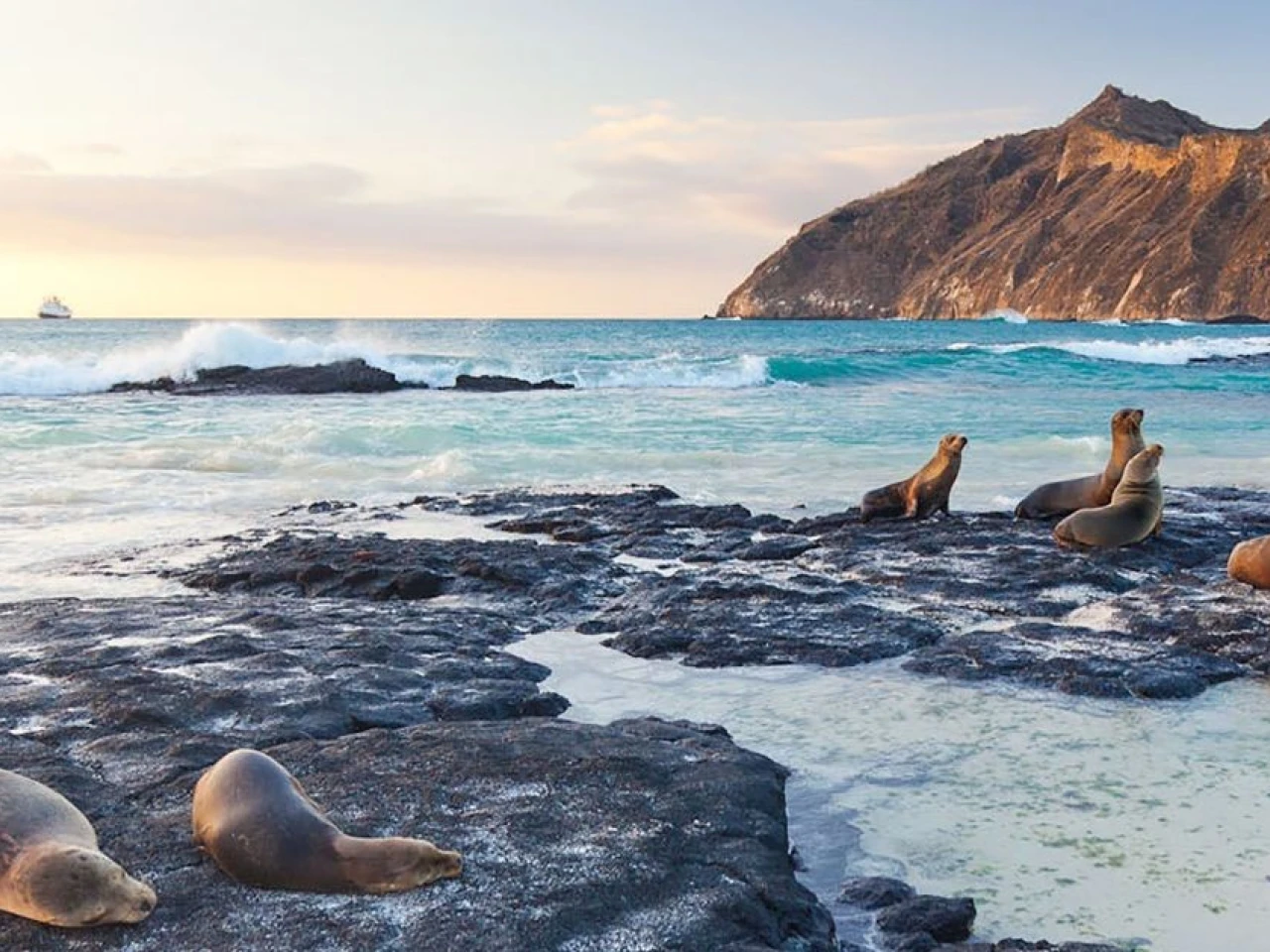 Unesco aprobó ampliación de la Reserva de Biosfera Galápagos