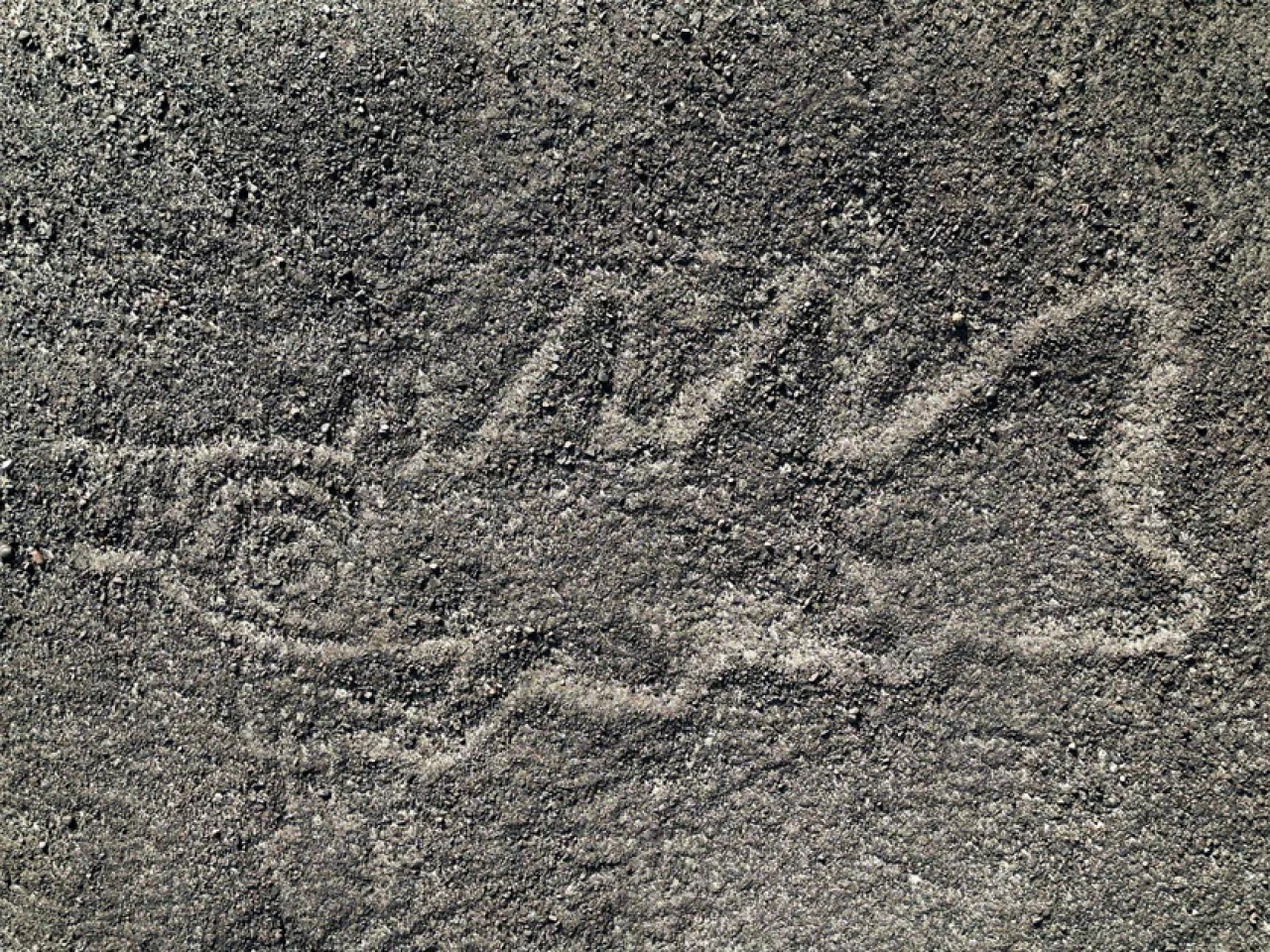 La inteligencia artificial permite identificar 303 nuevas figuras en Nazca