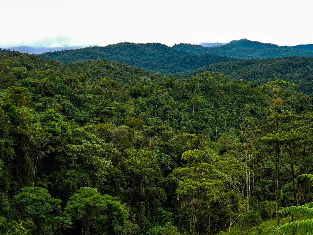 El Zarza, un refugio de vida silvestre en Zamora Chinchipe