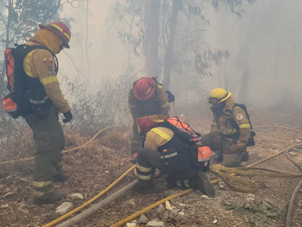 11 incendios forestales se registran en Ecuador