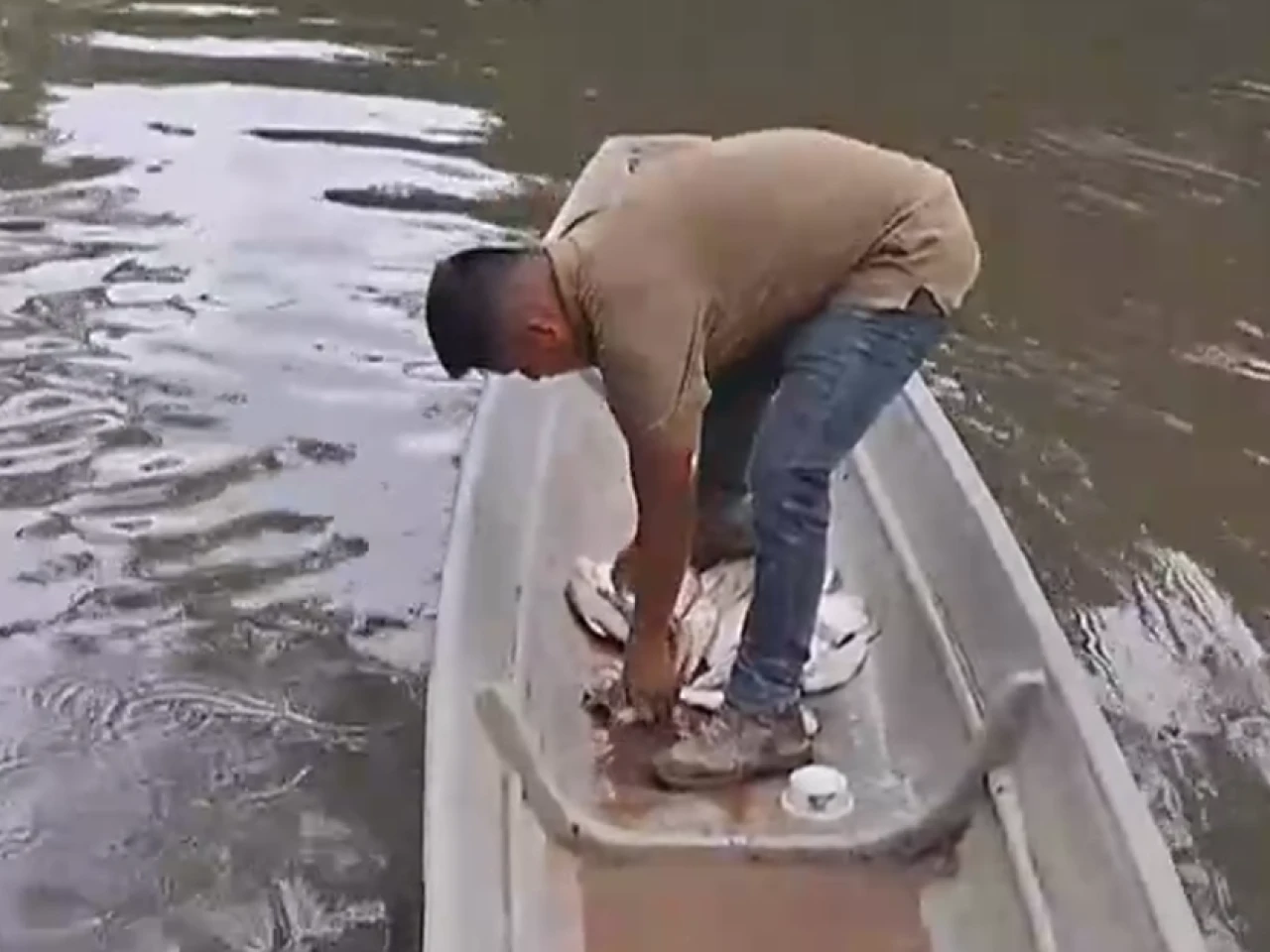 Contaminación en el río Shushufindi deja cientos de peces muertos