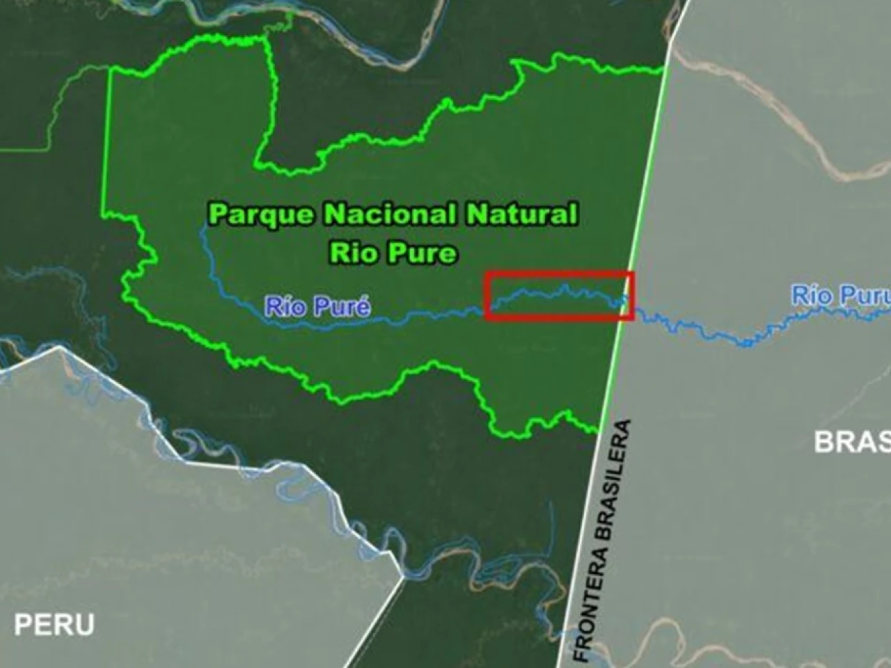 Minería ilegal deforestó 506 hectáreas en parque de la Amazonía de Colombia