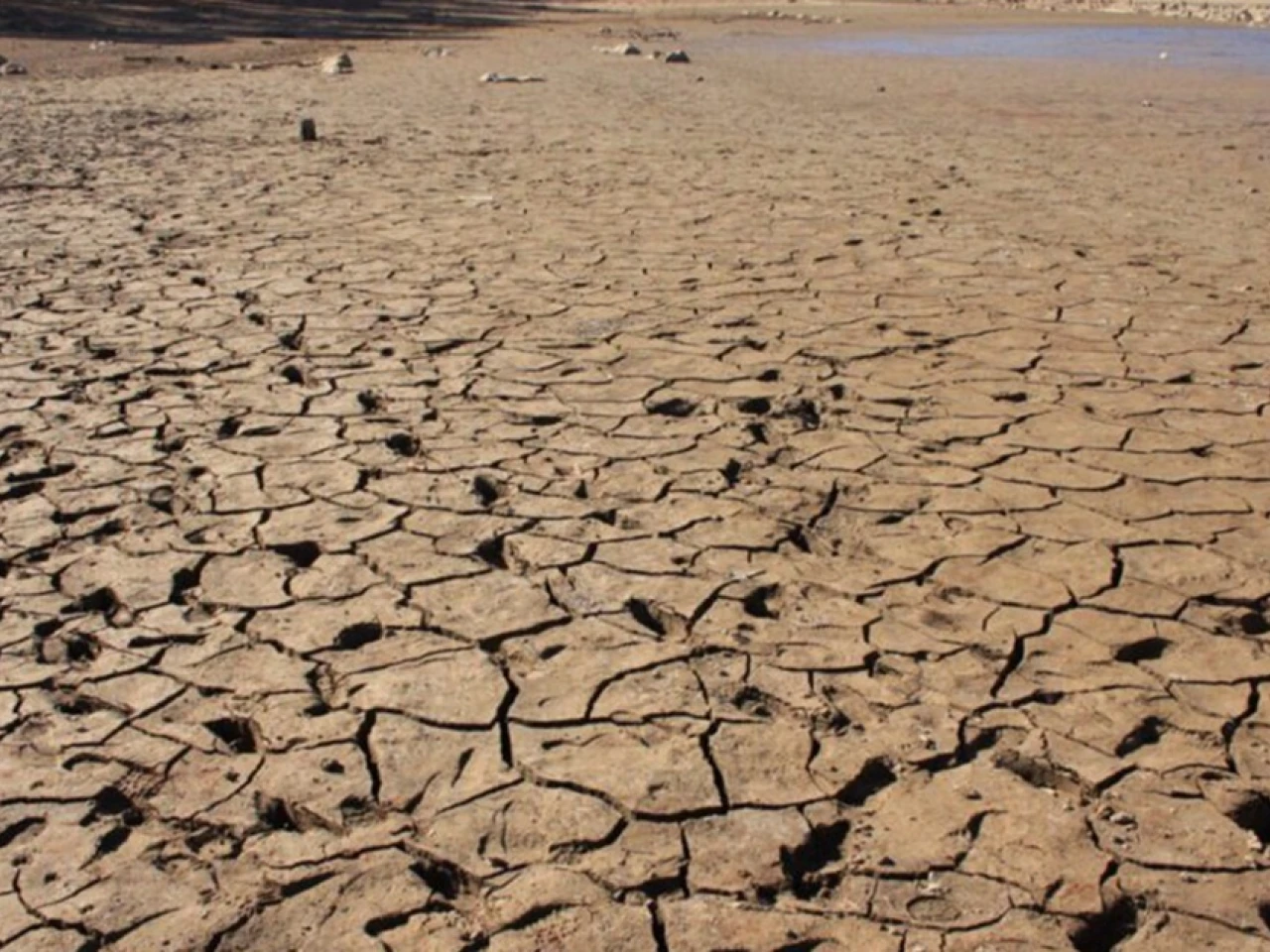 El Niño podría generar pérdidas de más de $10,7 billones para la industria colombiana