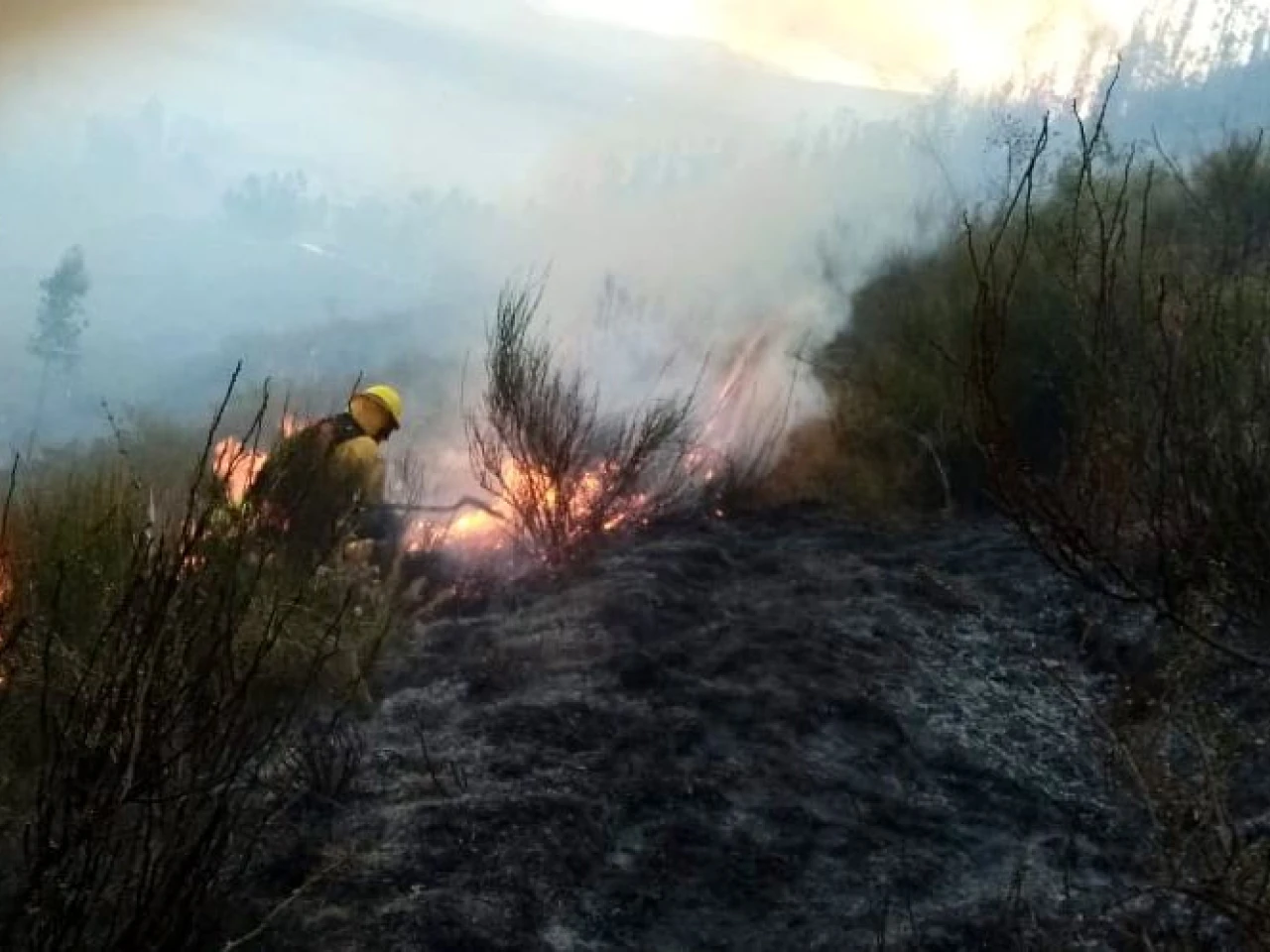 Controlado incendio en el cerro Ilaló, cercano a la capital ecuatoriana