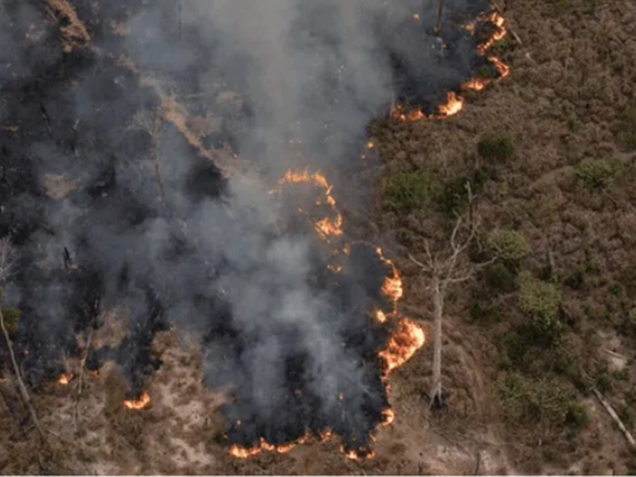 La Amazonía peruana ha registrado 817.634 incendios desde 2020 