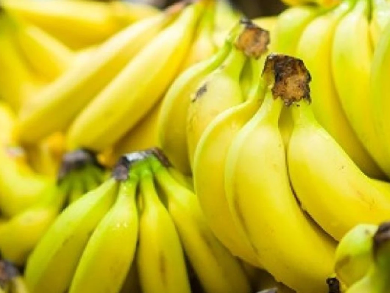 Bananera Noboa redujo en un 78 % su deuda tributaria