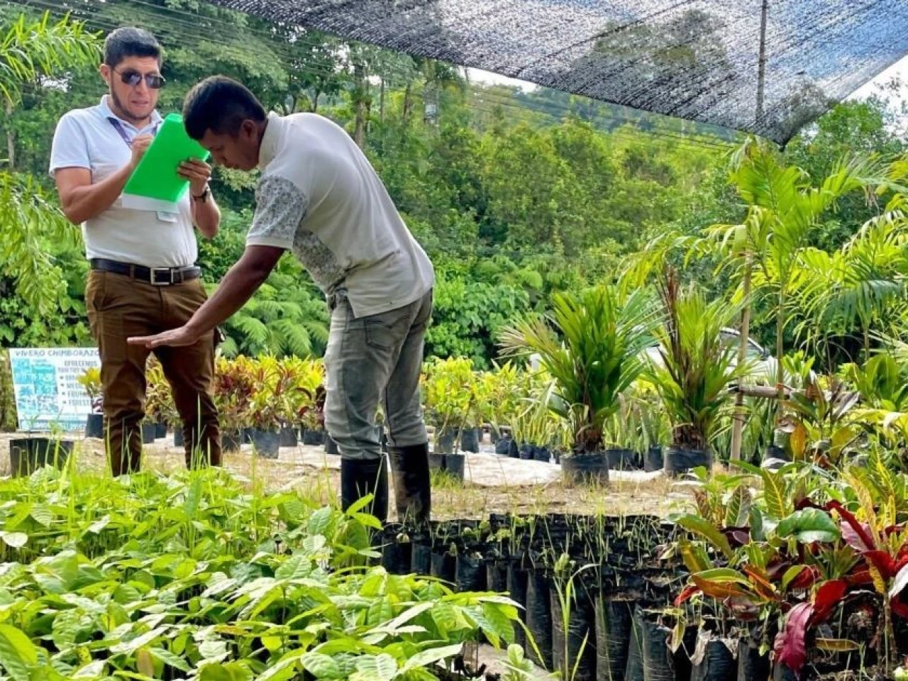 Controles de semillas se llevan a cabo en Napo 