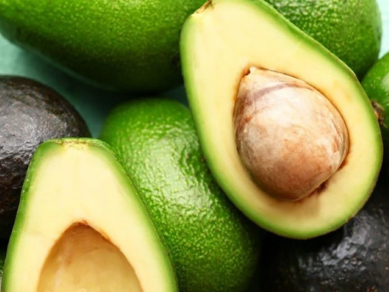 Ecuador exportó por primera vez aguacate Hass y pitahaya roja a Argentina