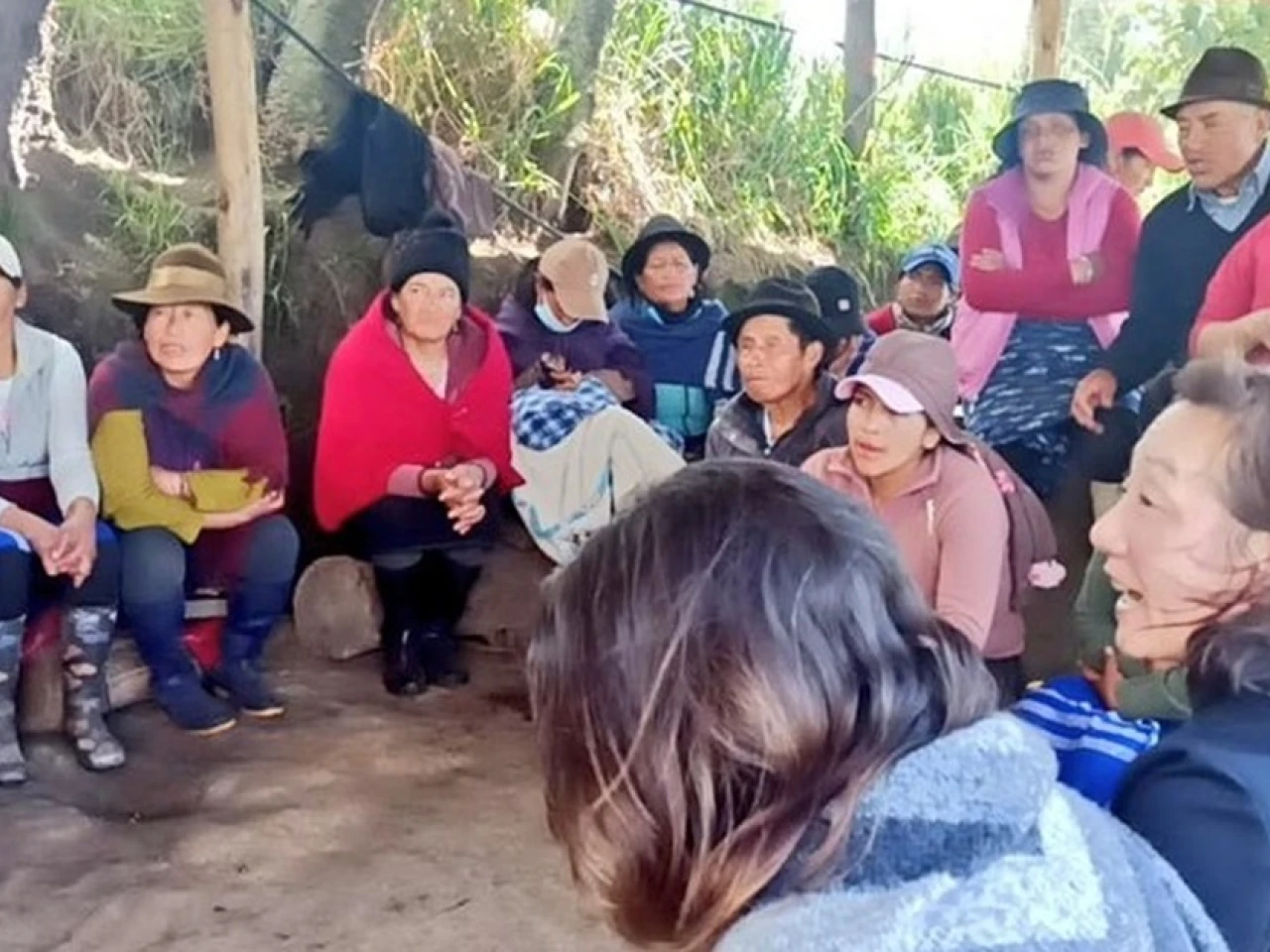 Japón apoyará fortalecimiento de la agricultura en Ecuador
