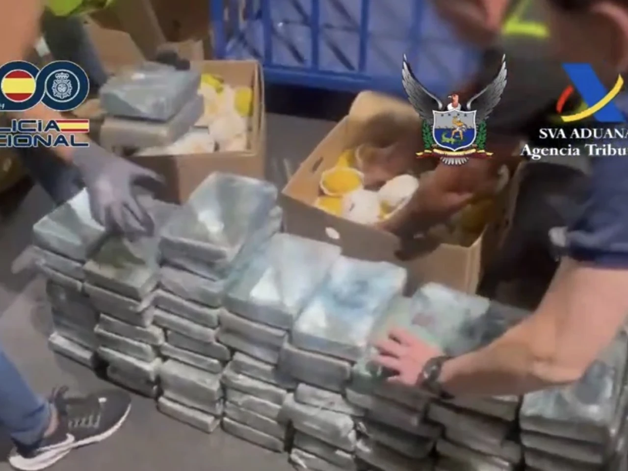 España: 165 kilos de cocaína camuflados en pitahaya de Ecuador fueron incautados