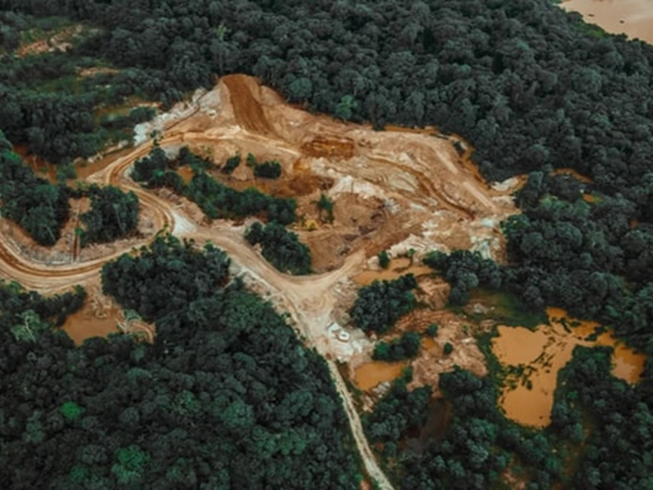 Carreteras clandestinas están deforestando la Amazonía colombiana 
