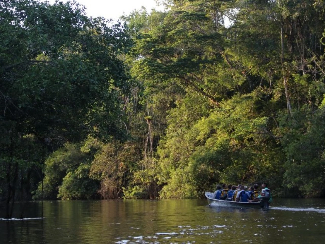 Colombia: Minambiente busca declarar la Amazonia libre de nuevas concesiones mineras y petroleras