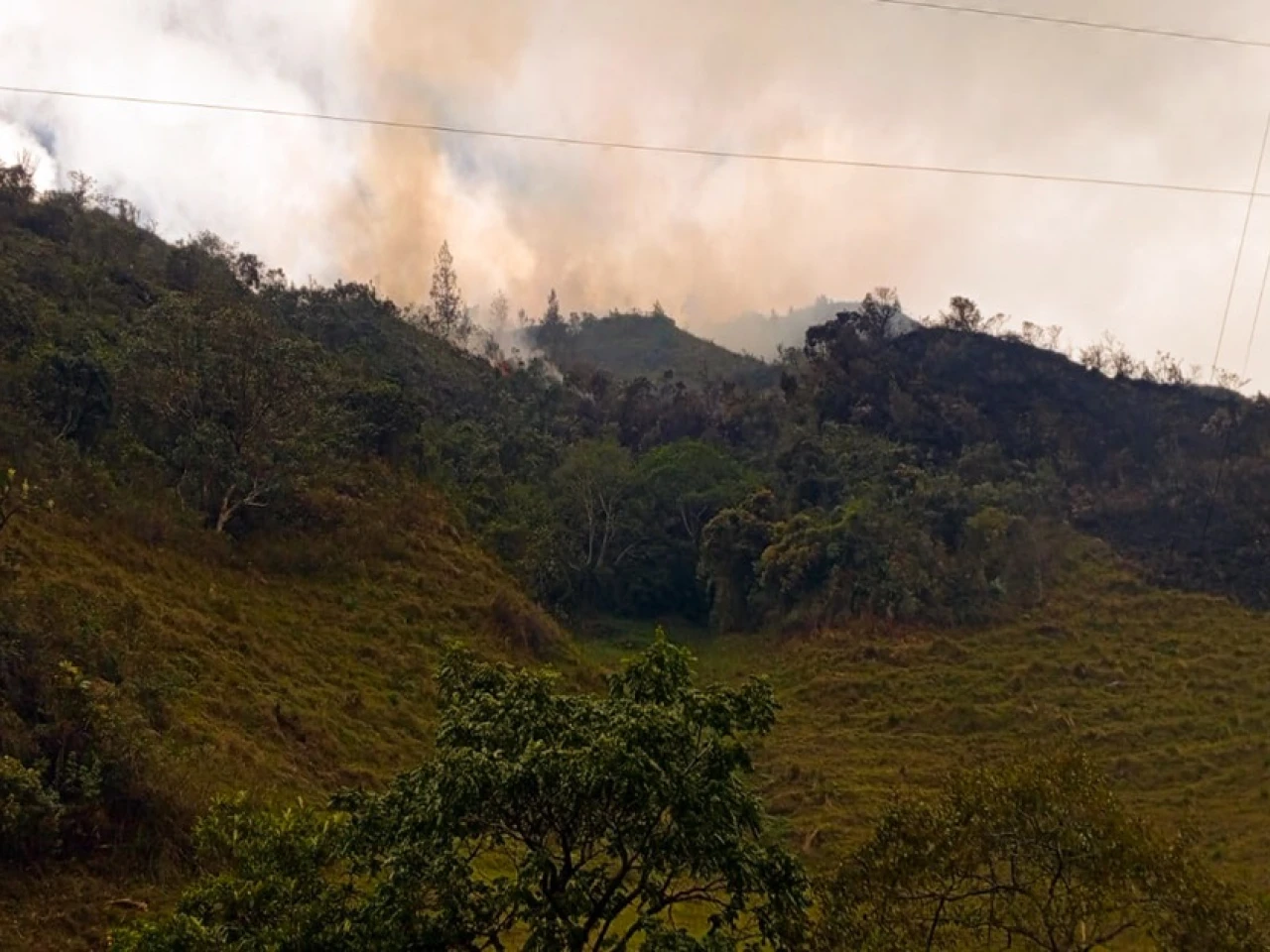 La UE entregó ayuda a poblaciones afectadas por incendios en Loja