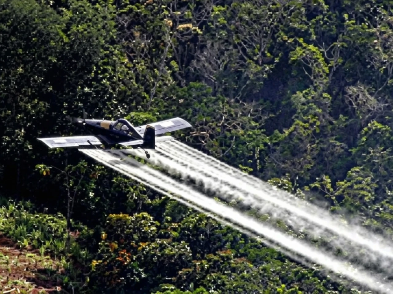 Ecuador despliega más controles en la frontera por la nueva estrategia de seguridad de Colombia