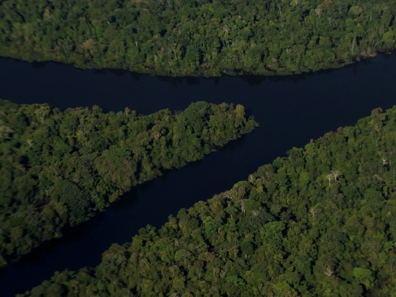 La Amazonía cumple una década como maravilla natural del mundo