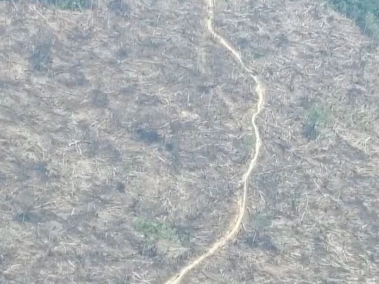 Deforestación y quemas avanzan en parques de la Amazonía colombiana