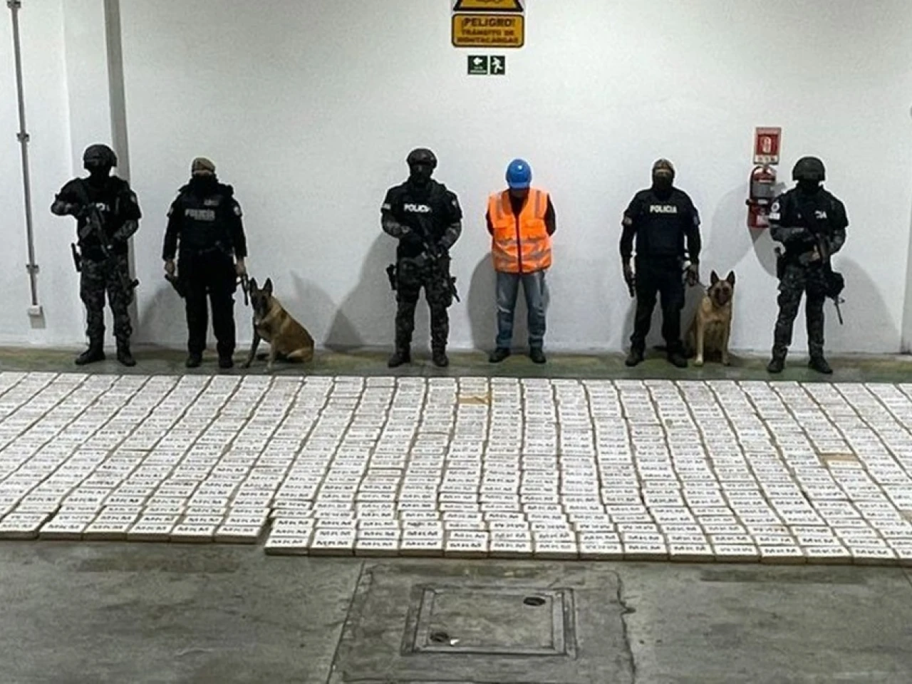 Ecuador ha decomisado 187,3 toneladas de droga en 2024