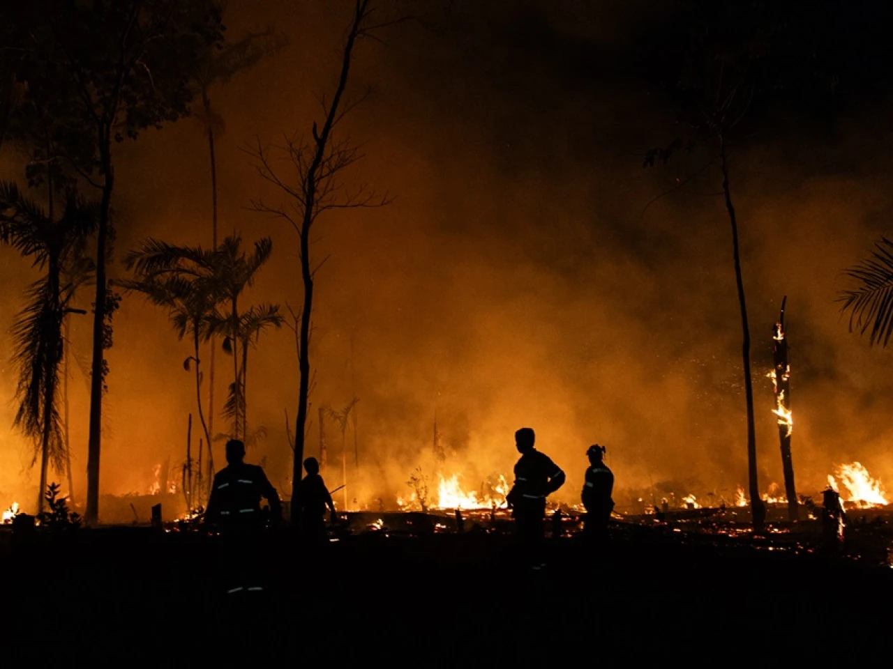 Brasil: Los incendios degradan 2.846 kilómetros cuadrados de la Amazonía