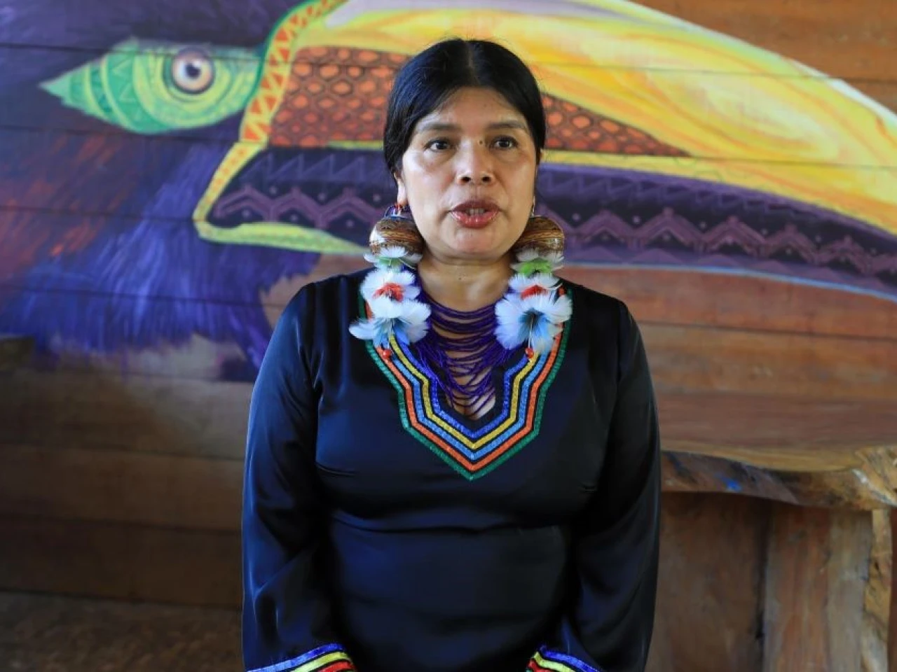 Patricia Gualinga, representará a los pueblos indígenas en la ONU 