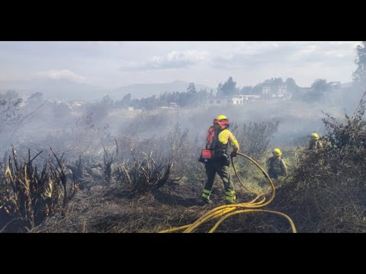 Cerca de 16.000 hectáreas han ardido en Ecuador en las últimas dos semanas