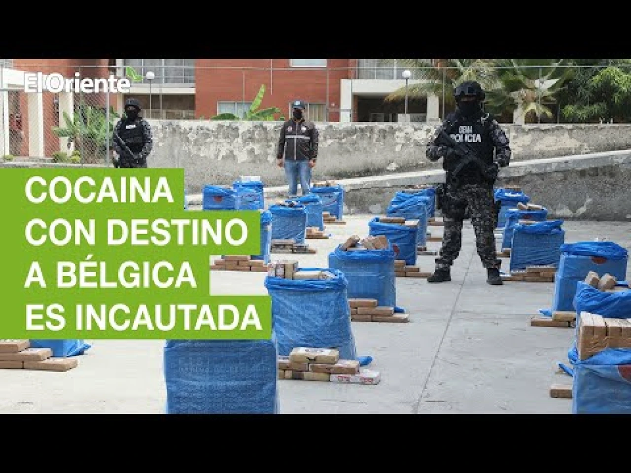 Cerca de dos toneladas de cocaína con destino a Bélgica fueron incautadas 