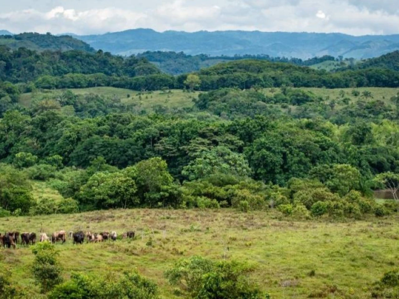 Colombia entregó 521.000 hectáreas a pueblos indígenas en la Amazonía