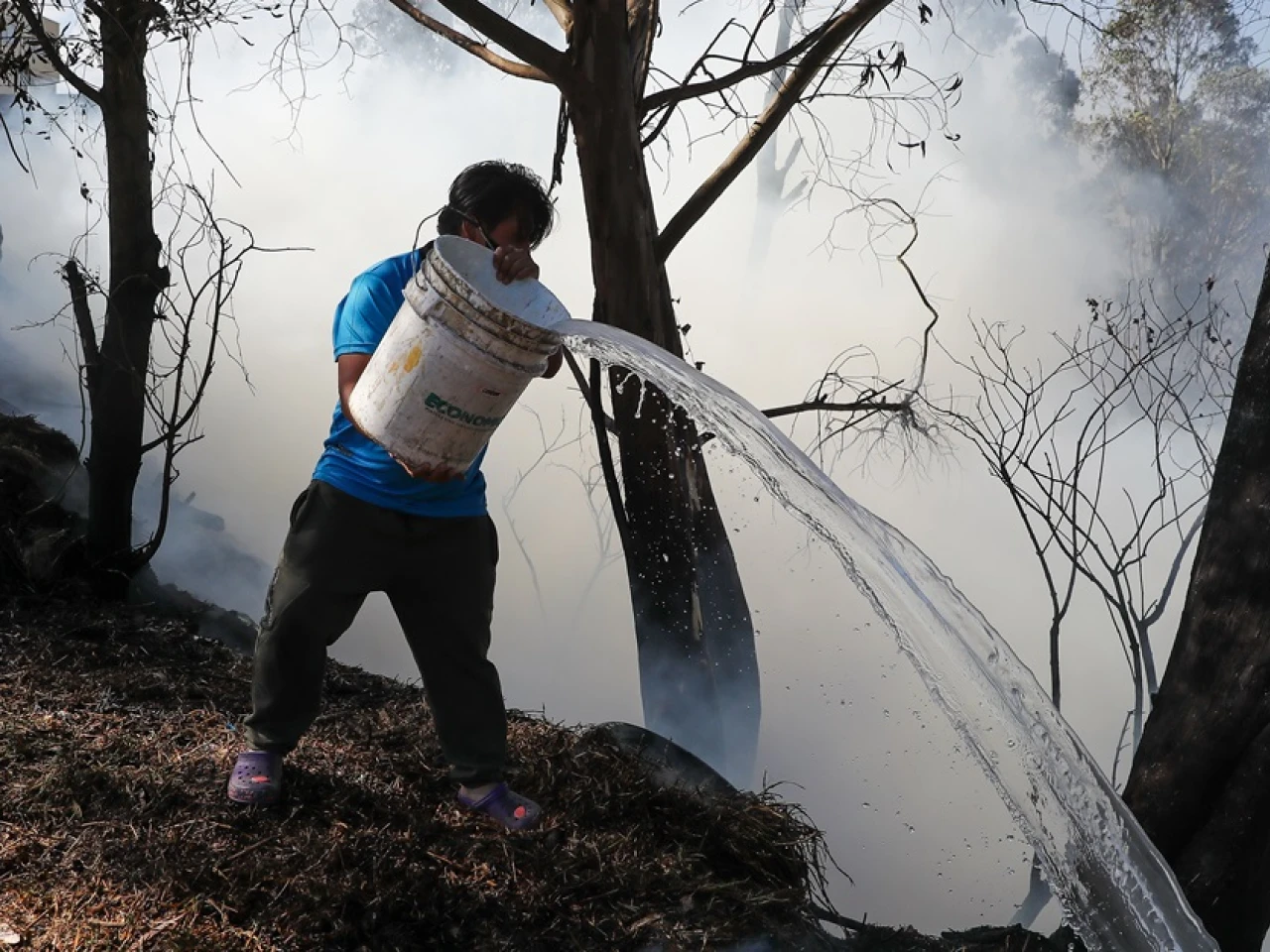 Incendios dejan unas 30.000 hectáreas quemadas desde enero