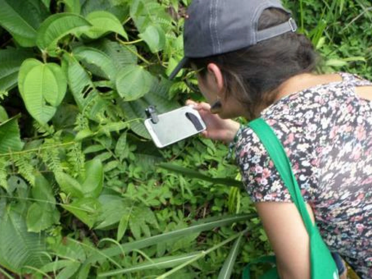 Biodiversidad, la carta de presentación de la ciudad de Tena