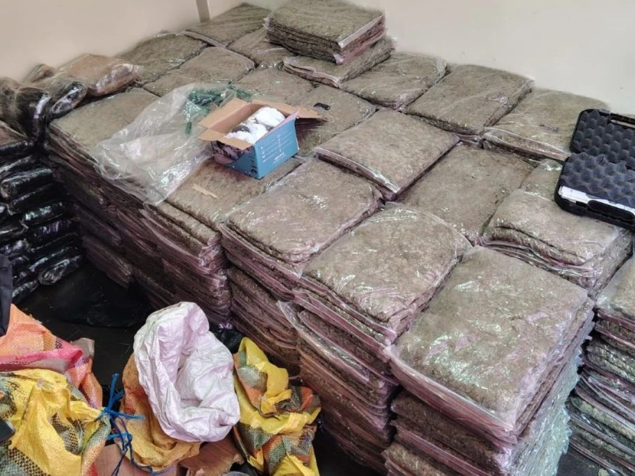 La Policía decomisó 637 kilogramos de marihuana en Imbabura