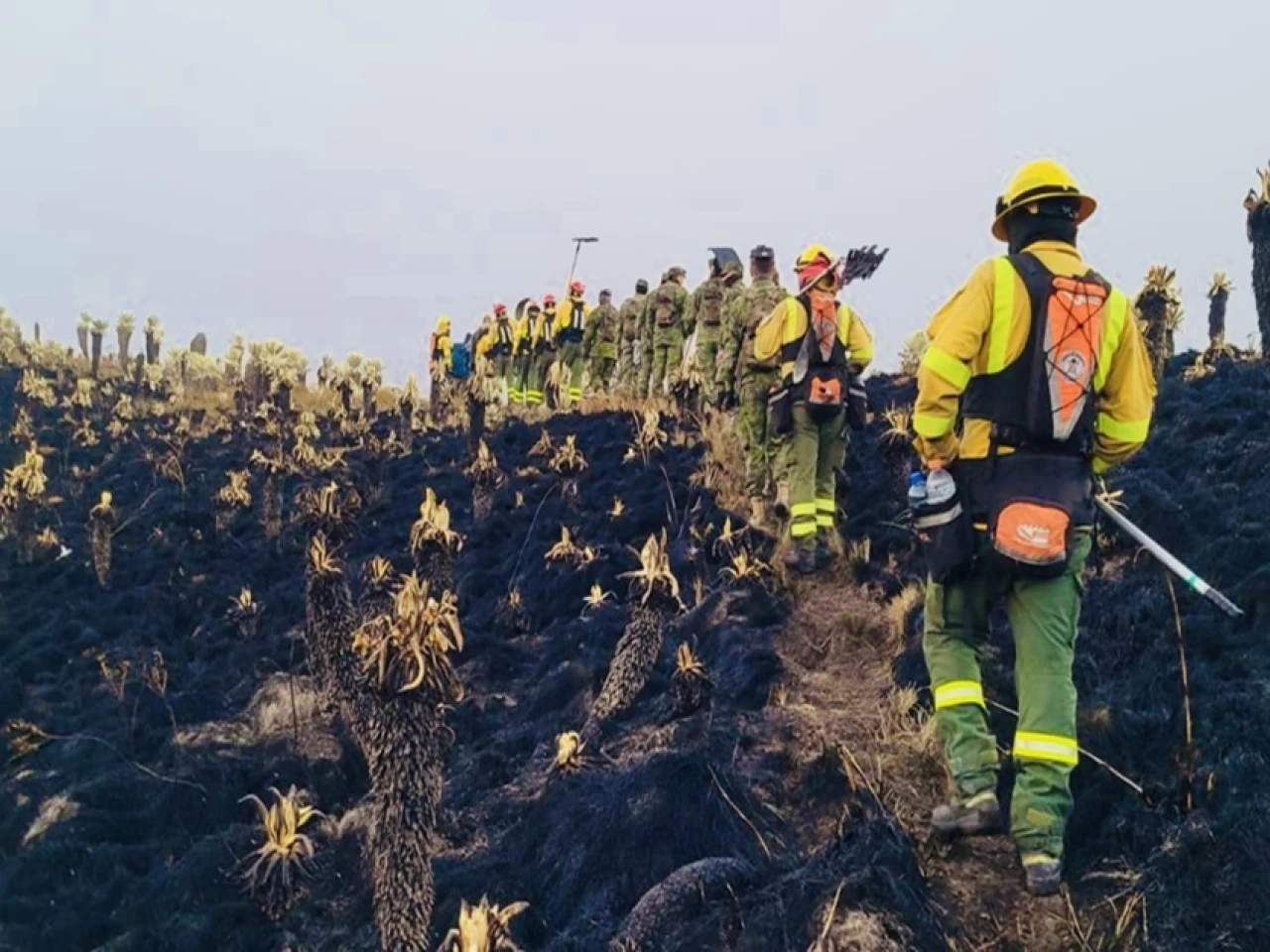 Bomberos controlan incendio en El Ángel con unas 800 hectáreas quemadas