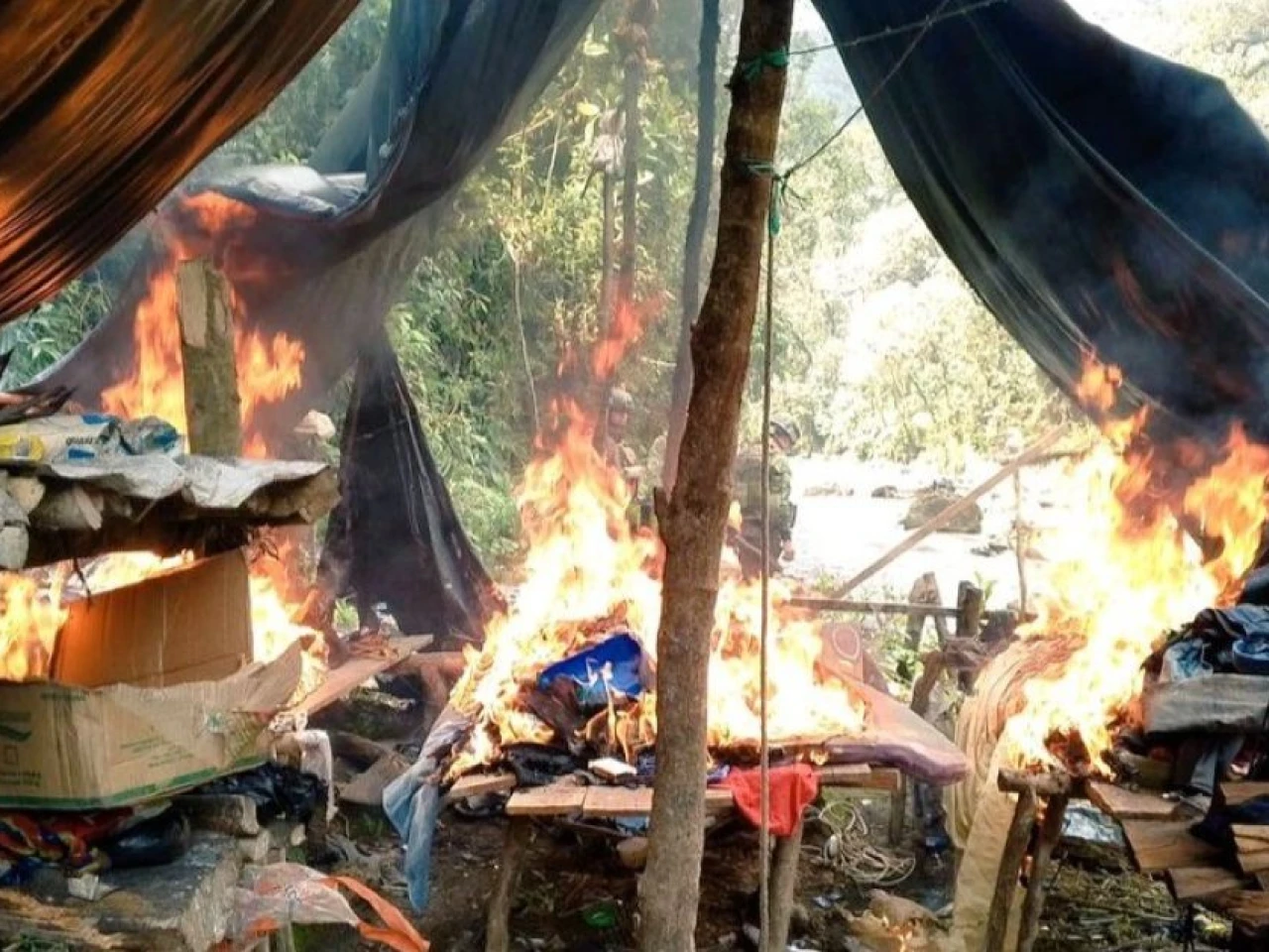 Operativo estatal desmantela minería ilegal en el Parque Nacional Podocarpus