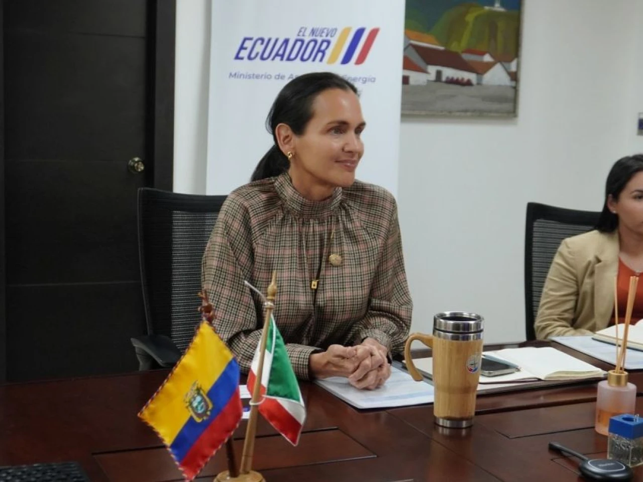 Inés Manzano descarta cargo diplomático tras su salida del Ministerio de Energía