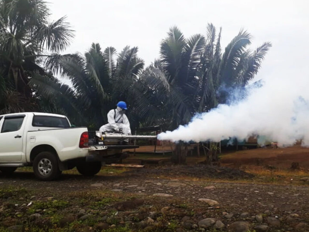 Ecuador registra 31 muertes por dengue