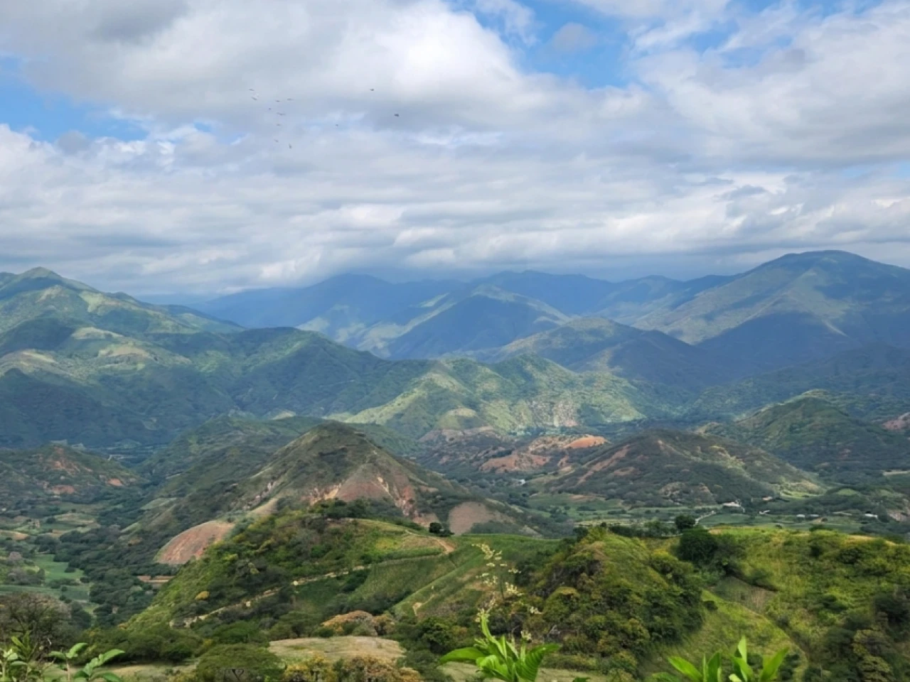 Inversión australiana impulsa la exploración de dos proyectos de cobre y oro en Ecuador